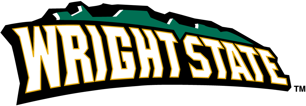 Wright State Raiders 2001-Pres Wordmark Logo v2 iron on transfers for fabric